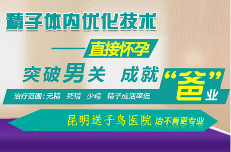昆明送子鸟医院助孕技术